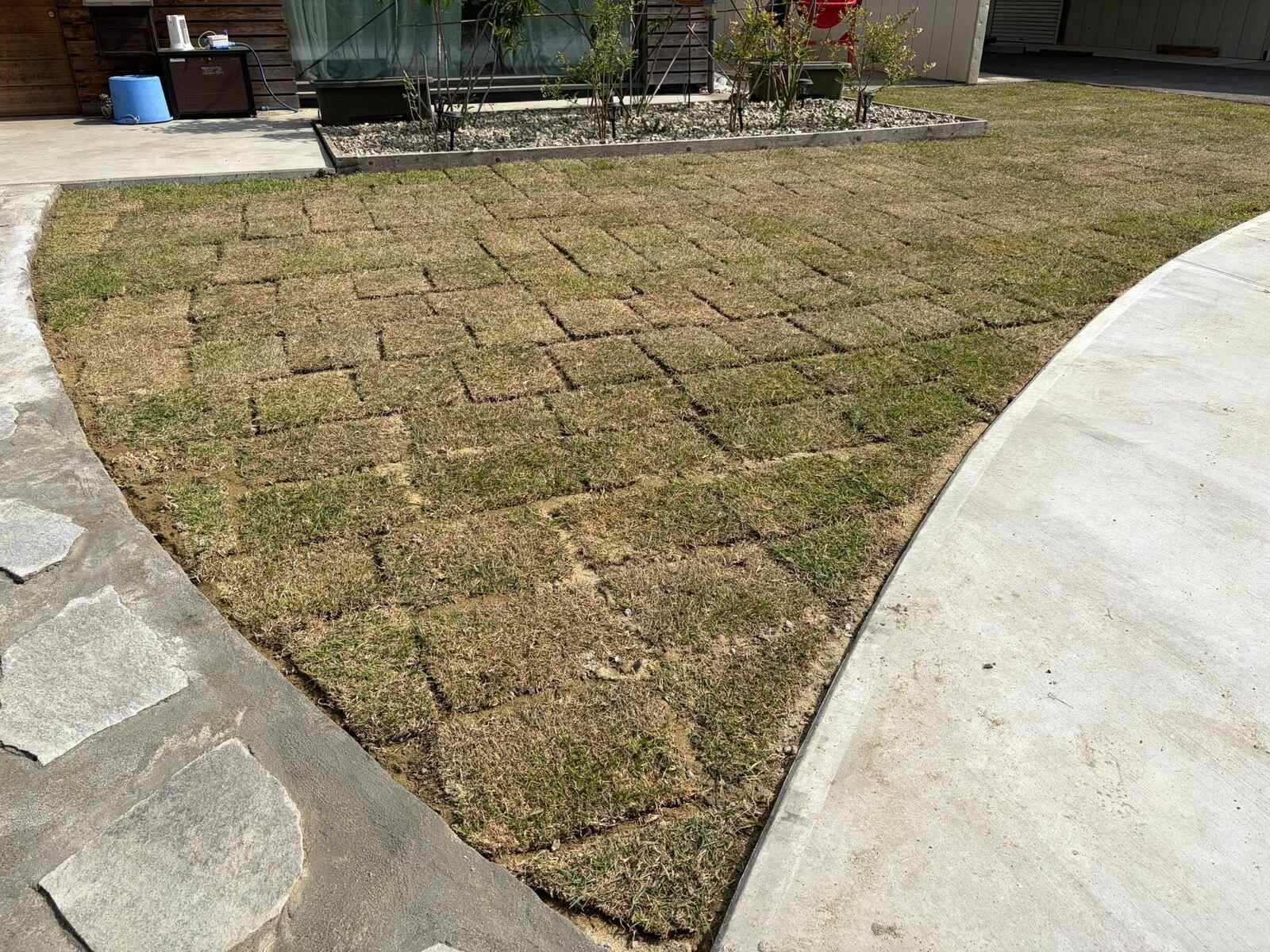 芝の目地埋め完了！