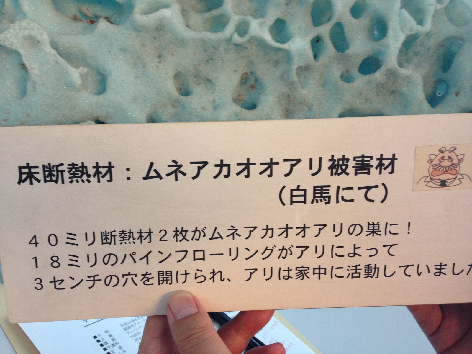 被害を受けた床断熱材