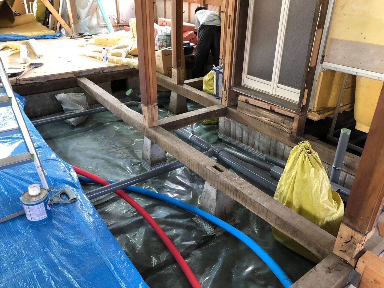 2020.06.18 の写真